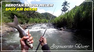 SADIS‼️Berotan Babon Melem Spot air deras hulu sungai bogowonto