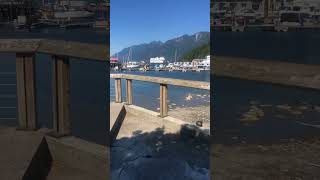 BC FERRIES ⛴ HORSESHOE BAY TO DEPARTURE BAY 🇨🇦 (VANCOUVER TO NANAIMO)