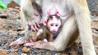 Mother Left Lovable Baby On The Ground, Baby Trying To Reach Mother With Lovely Actions