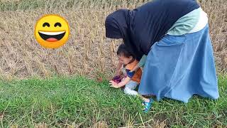 Seru Bermain di sawah, Malihah main ke sawah/#asyikmaindisawah