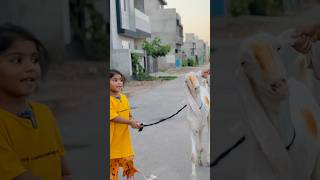 Mil kar Eid manatay hai #shorts #viral #trending #zunairakisharartien #youtubeshorts #shortsviral