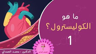 كولسترول الدم - معلومات مهمة عن الكوليسترول لا يجب تجاهلها 1 Cholestrol