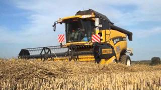 Landbouwhaspengouw- dorsen met de New Holland CX780 (Missotten)