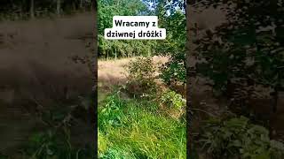 wracamy z dziwnej dróżki