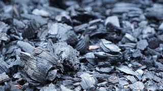 How A Beginner Can Start Making Biochar Easily - Kelpie Wilson