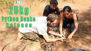 25kg Python Snake Release | By Snake Catcher Alex Carpenter