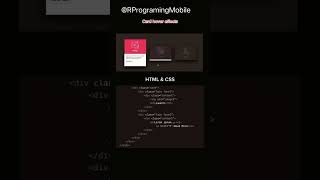 Card hover effect || css hover effect #html #css #card #hover #effects #css