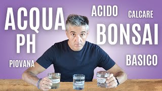 QUALE ACQUA UTILIZZARE per i BONSAI, caratteristiche e PH