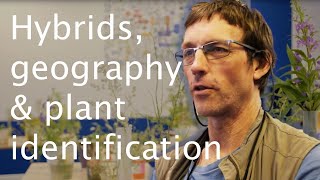 Identifying plants: a life teaching plant taxonomy - Richard Milne 🔎🌿