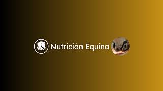 Transmisión en vivo de Nutrición Equina