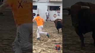 DE SAN FERMÍN A BURRIANA. TORAZO DE CEBADA GAGO