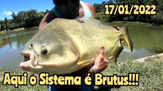 O PESQUEIRO DO BRUTUS ESTÁ DE VOLTA - Ultralight e Massa de Fundo