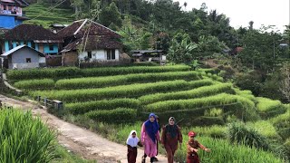 INDAH BENERR !! Surganya #pedesaanjawabarat , Ibu ibu mengantarkan anak sekolah