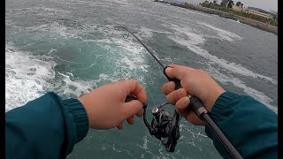 Entretenida pesca de Cabinzas desde la rocas...Pesca UL. Valparaíso, Chile