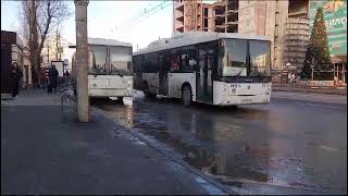 🚌 Два НЕФАЗа стоят на остановке Северный рынок 🚌