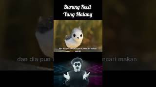 BURUNG KECIL YANG MALANG, 🐣  #shorts #animasi #dongeng #filmpendek