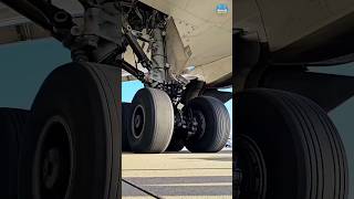 Boeing 787 Dreamliner Main Wheel Change #b787 #dreamliner #aircraft #aircraftmaintenance