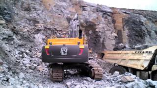 Volvo EC480D behind view