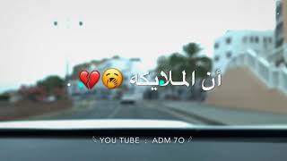 تامر حسنى (هـى دى 💞😪 )