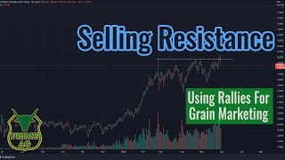 Grain Marketing | Selling Resistance Strategy