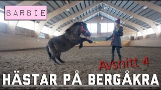 HÄSTAR PÅ BERGÅKRA || AVSNITT 4