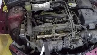 Vibration Fix Replacing Motor Mount on a 2005 Ford Focus