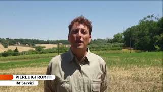 Risparmio idrico con agricoltura 4.0 - servizio Tg4