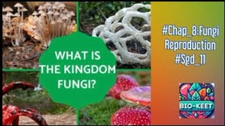 #ch_8_sgd_11 #Reproduction_fungi #Asexual #Sexual #Spores #Conidia #Budding #Plasmogamy #karyogamy