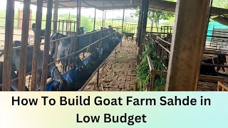 शेळीपालन फार्म कसे करावे? How to build Goat Farm Shade| Beetal Goats at Ghorak Sir Morochi