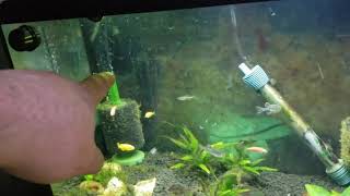 Fish Tank Setup - Heat & Air (Video 4)