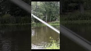 Bass fishing right after a short rainstorm! * The Bite was on Fire *(Part 1)