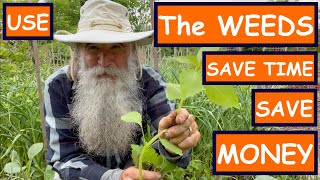 USE the WEEDS! SAVE TIME SAVE MONEY! PART 11 Planning & Creating a PERMACULTURE PARADISE FOOD FOREST