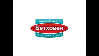 Промокоды Бетховен на скидку 🔥 в зоомагазине, Bethowen промокод на первый заказ сегодня!