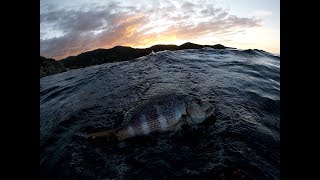 Pesca sub   :   Sotto una buona stella. (Sud Sardegna)