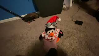 Dandee walking penguin