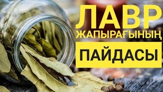 ЛАВР ЖАПЫРАҒЫНЫҢ ПАЙДАСЫН КӨРІҢІЗДЕР.РЕЦЕПТ👉👉👉ЛАВРОВЫЙ ЛИСТ ПОЛЬЗА.РЕЦЕПТ👉👉