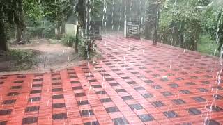 Beautiful and Heavy rain in Kerala