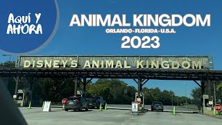 Disney Animal Kingdom 2023