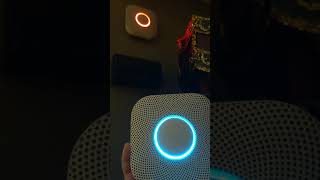 Review Nest Smoke Alarm/Carbon Monoxide Detector