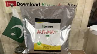 Alfalfa  Lucern Seed Maxim Agri | 7 8 Cuts every year | USA import of  S & W Seeds | Kissan Ghar