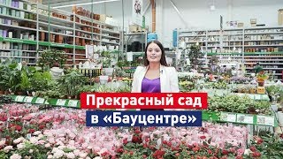 Отдел «Сад» в гипермаркетах «Бауцентр»