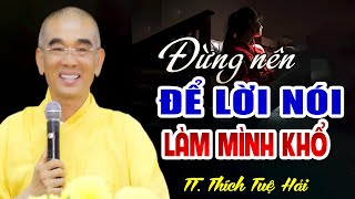 Đừng Chấp Vào Lời Nói, làm mình đau khổ - Thầy Thích Tuệ Hải (HAY LẮM)