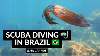 SCUBA DIVING 🤿 IN BRAZIL 🇧🇷 | The underwater beauty of Ilha Grande