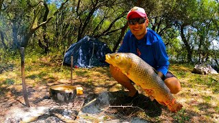 Pesca, Cocina y Campamento en Laguna, Pescado Frito, Fritanga, Bagres, Carpa, Pesca de Barrio