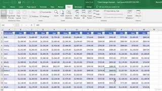 4  Freeze the Top Row of Your Spreadsheet  | Basic Excel Skills the Pros Know