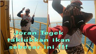 Tidak Diduga !!! Ikan Ini Ternyata Mau Makan Lumut //Rabbitfish//Rabbitfishfishing//Mancing Baronang