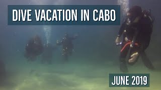 Dive Vacation Cabo June 2019