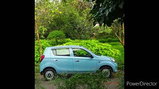 Alto 800 Low Kilometer 56023 Company Service Record available with me 2013