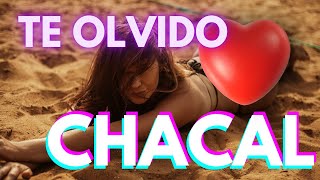 Chacal - TE OLVIDO / Top hit September 2022 / Music visualization / Reggaeton / Musica Latina