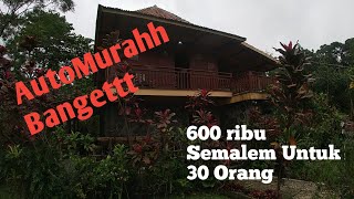 Room Tour Villa (Hidden Gems Megamendung) 600 Ribu semalam muat untuk 30 Orang!!!